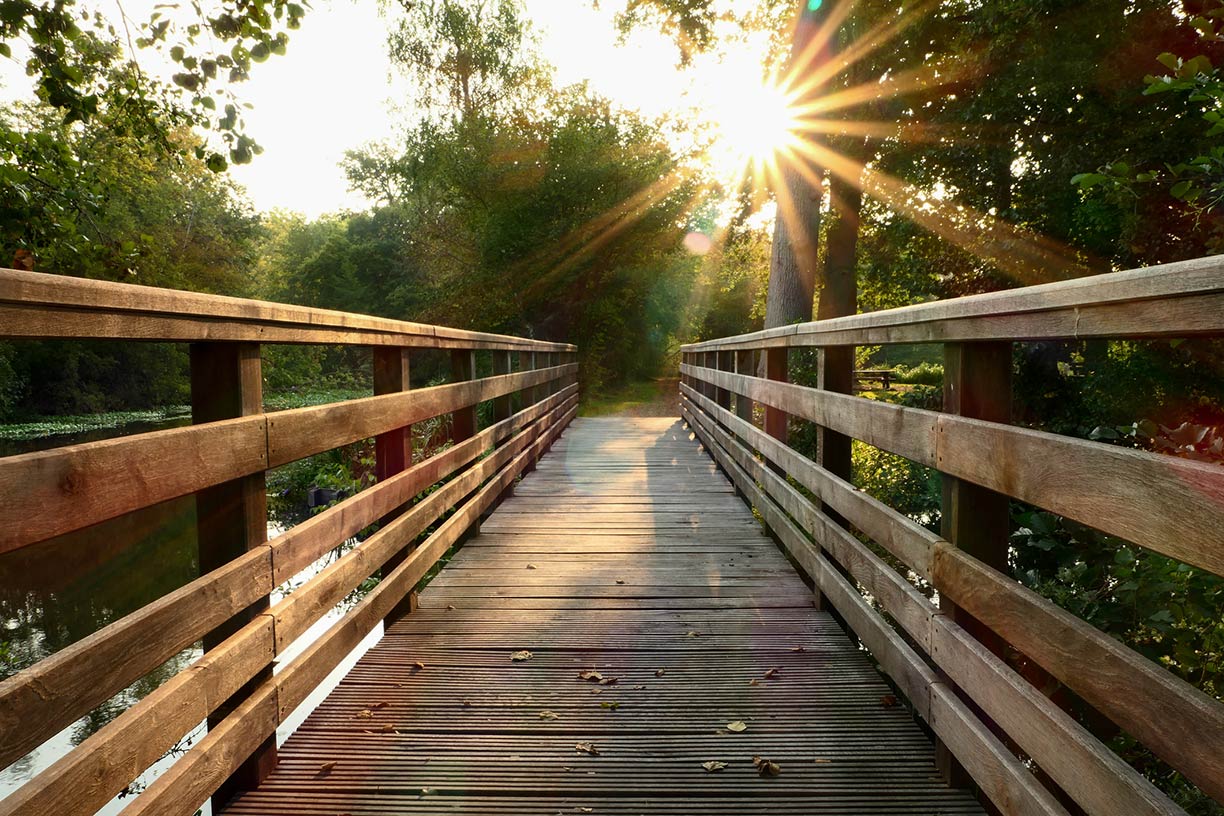 wooden bridge